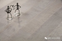 森林之星文化地板FRESH·岩灰系列来袭