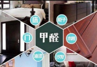 除甲醛的三大“谎言”，千万不要相信，小心甲醛超标反弹