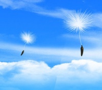 三恒系统如何传导热量更适合家庭呢？