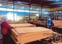 快讯 | 2025年马来西亚木制品出口将达287亿人民币