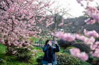 别让衣物洗涤破坏春日好心情！小天鹅本色系列洗烘套装帮你解决洗护困扰