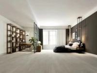 红利居之星系列|玩转时尚质感，打造不一样的纯粹慢生活！