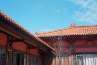 简雅新中式，气质吊打老土俗，拿来吧你！