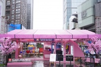 SAKURA樱花全国快闪活动亮相成都，掀起今春最IN“浪漫Style”