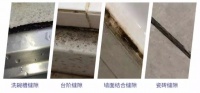 立邦全屋抗菌美缝解决方案，助力打造“健康无缝”的品质家居空间