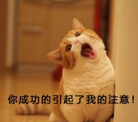 我在朋友家见到了博沃纳B500加湿器,感觉与传说的不同