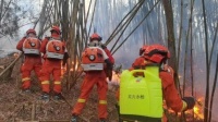 山火无情人有情——菲玛自发向重庆捐赠抗灾物资