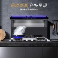 璀璨新厨,博净智能语音嵌入式集成灶值得入手