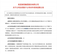 定制快讯|欧派及其控股子公司对外提供最高8000万元担保