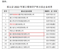 【爱漫时】喜报!爱漫时入选“2022年浙江省知识产权示范企业”名单