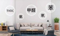 新房装修甲醛不可避免,来看看有没有你用过的除醛方法