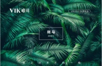 前卫艺术 不拘一格|VIK唯可卫浴新品斑马系列