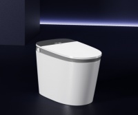 R&T瑞尔特革新力作UX9,0水压1级冲刷智能马桶
