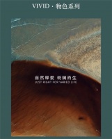 颜值花洒首选:瑞摩多功能恒温淋浴花洒