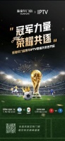 2022世界杯精彩上演,新豪轩门窗携手IPTV“静”享精彩赛事