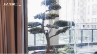 玩转意式极简，看简一设计师如何将中西元素完美融合