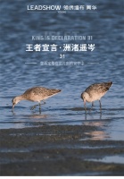 【领绣·菁华】洲渚遥岑丨百种居家生活风采,丰富的人生百态