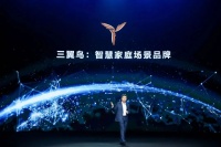 海尔三翼鸟:从出生到出圈