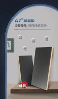 狂飙爆品 x A7ᴿ家具板丨极质超值,冲上潮流家居新秀榜