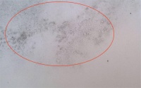 美巢易呱平腻子粉,耐水防潮更高环保,拒绝墙面潮湿发霉
