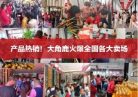 憋了三年赚不到钱?瓷砖增长王大角鹿将召开最大规模千人招商大会