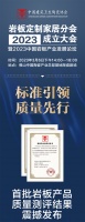 共论岩板产业未来发展趋势,共谋行业高质量发展