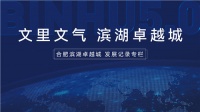 合肥滨湖卓越城发展记录专栏丨新形态下的产业之城