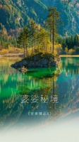 【领绣】 《至美臻品8》|婆娑秘境,空灵缥缈的朦胧美