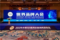 中国500最具价值品牌榜发布:三翼鸟3次蝉联