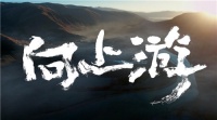 TCL:敢为上游不畏难
