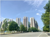 明珠老友拜访丨省心整家,让美好如约到家