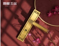美学与品质共存|顶固五金门锁,为生活画龙点睛