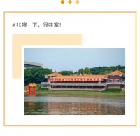 速度围观!能强瓷砖居然“狂飙”了!