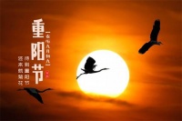 杰森DIY系列集成灶,为重阳添暖意!