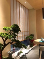 德国MT艺术涂料,涂料天花板!