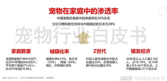 图片9