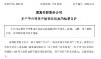 *ST嘉寓:子公司资产被拍卖 成交价7984万元