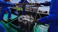 今年养啥最赚钱?DeepSeek和联塑带你揭秘水产养殖新风口