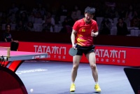 从世乒赛场到智造工厂:看TATA木门如何打出国牌“技术旋球”