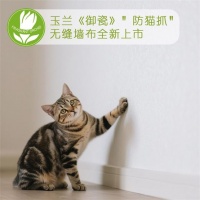 “铲屎官”福音！玉兰《御瓷》墙布上市，国庆大促开启！