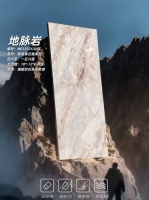 藏地脉之美，筑质感人居 | 真石釉新品地脉岩