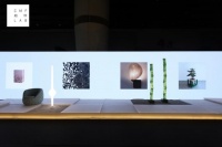 六年沉淀，「CMF趋势LAB」的前瞻设计探索