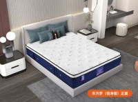 弹簧床垫选购指南：3000元左右弹簧床垫品牌前十名