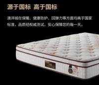 2026大众黄金预算床垫TOP10｜6000价位人体工学床垫完整榜单