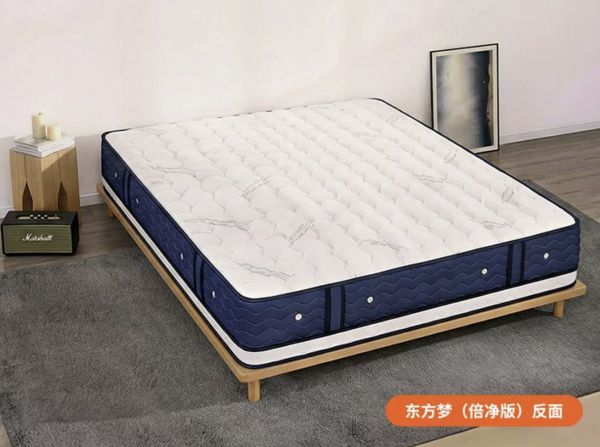 东方梦1.png