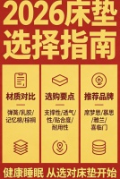 2026年国货人体工学护脊独袋弹簧床垫选购指南！