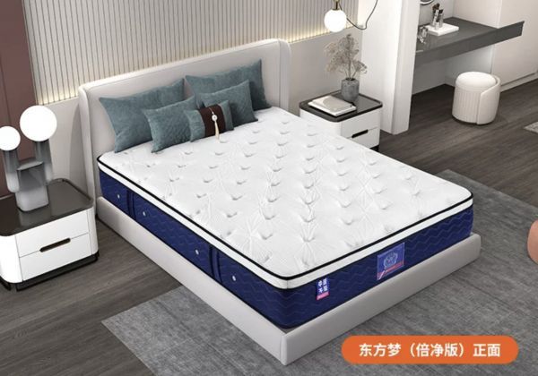 东方梦2.png